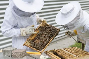 Coordenadoria de Agricultura, Abastecimento e Meio Ambiente faz levantamento de agricultores interessados em criação de abelhas
