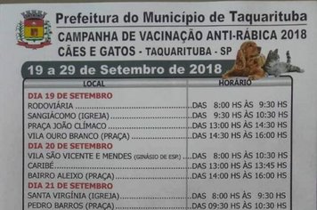 Atenção para os dias de vacinação de cães e gatos