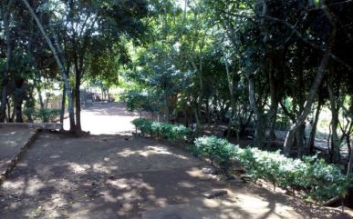 Foto - ASADEQ