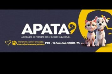 PIX Apata